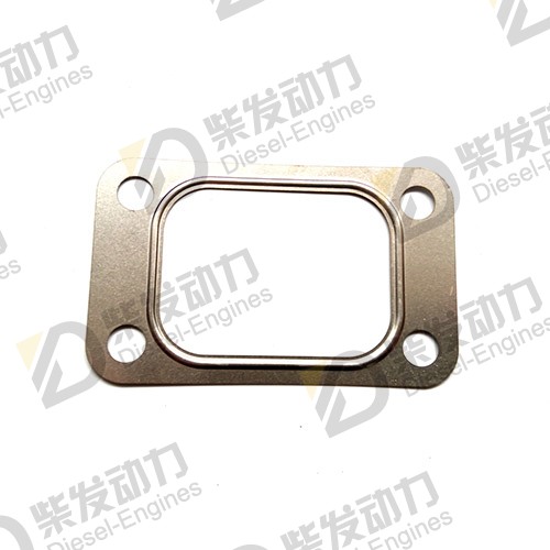 Gasket 420618